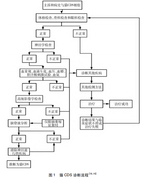 貓認(rèn)知障礙綜合征的營(yíng)養(yǎng)管理研究進(jìn)展